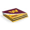 NFL Washington Commanders Flag PS4 Pro Console Skin